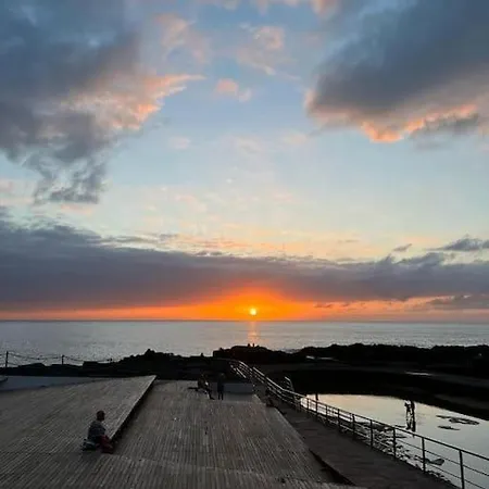 The Roque Sunset タコロンテ